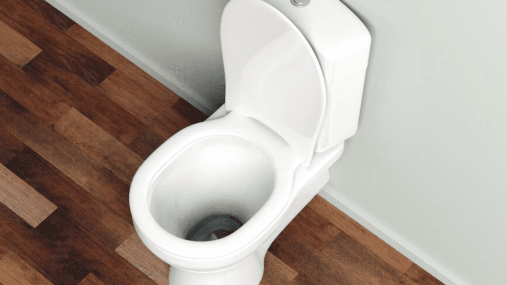 Clogged Toilet