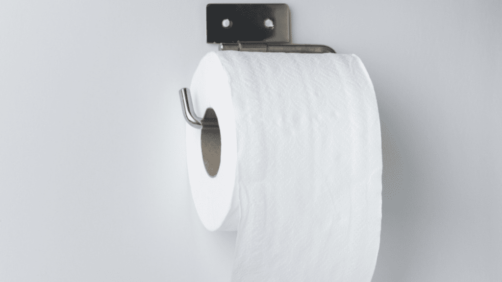 Wall-Mounted Paper Towel Holder